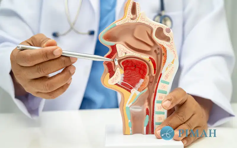 Sinus treatment near me allergy doctor